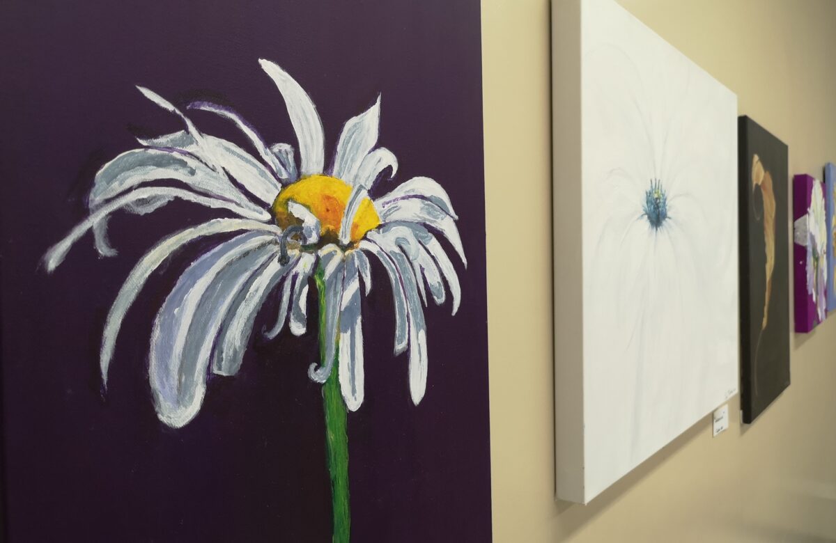 Senior’s association creates new art exhibit in an unexpected downtown venue