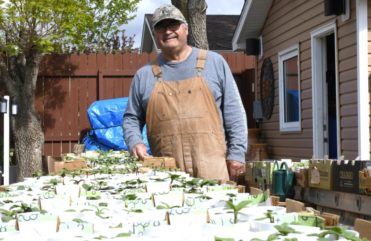 Blooming with purpose: local couple grows sunflowers to aid the humane society