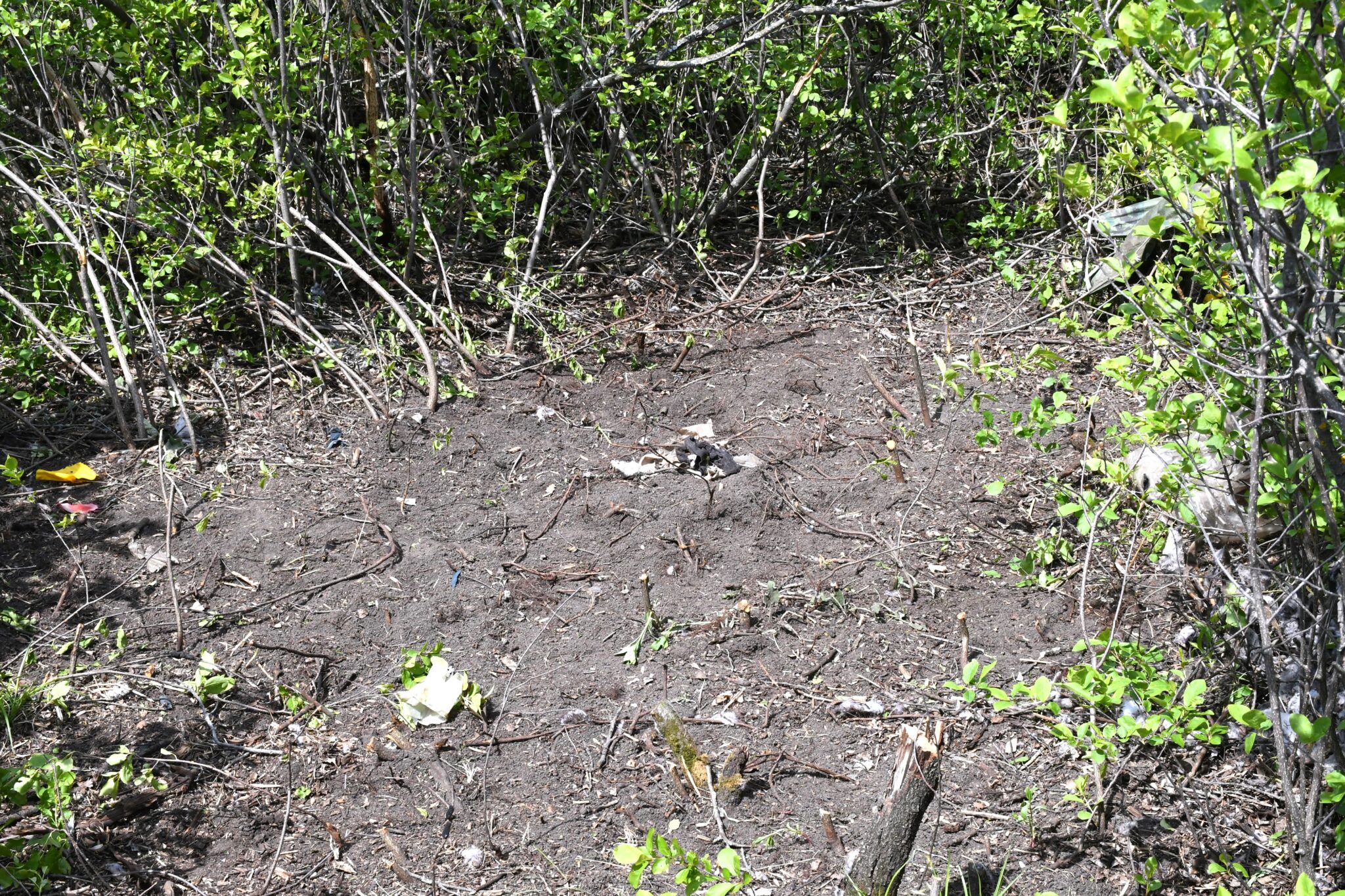 RCMP seek assistance to identify human remains found in RM of Moose Jaw ...