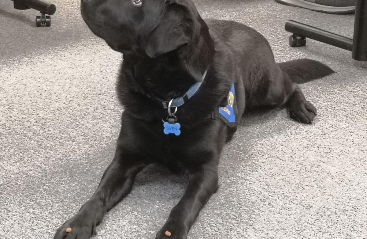 Victims of violent crime can seek comfort in Sven, a hard-working and lovable police dog