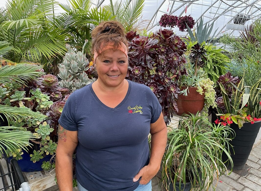 Cornell Design & Landscaping announces opening of spring greenhouse season