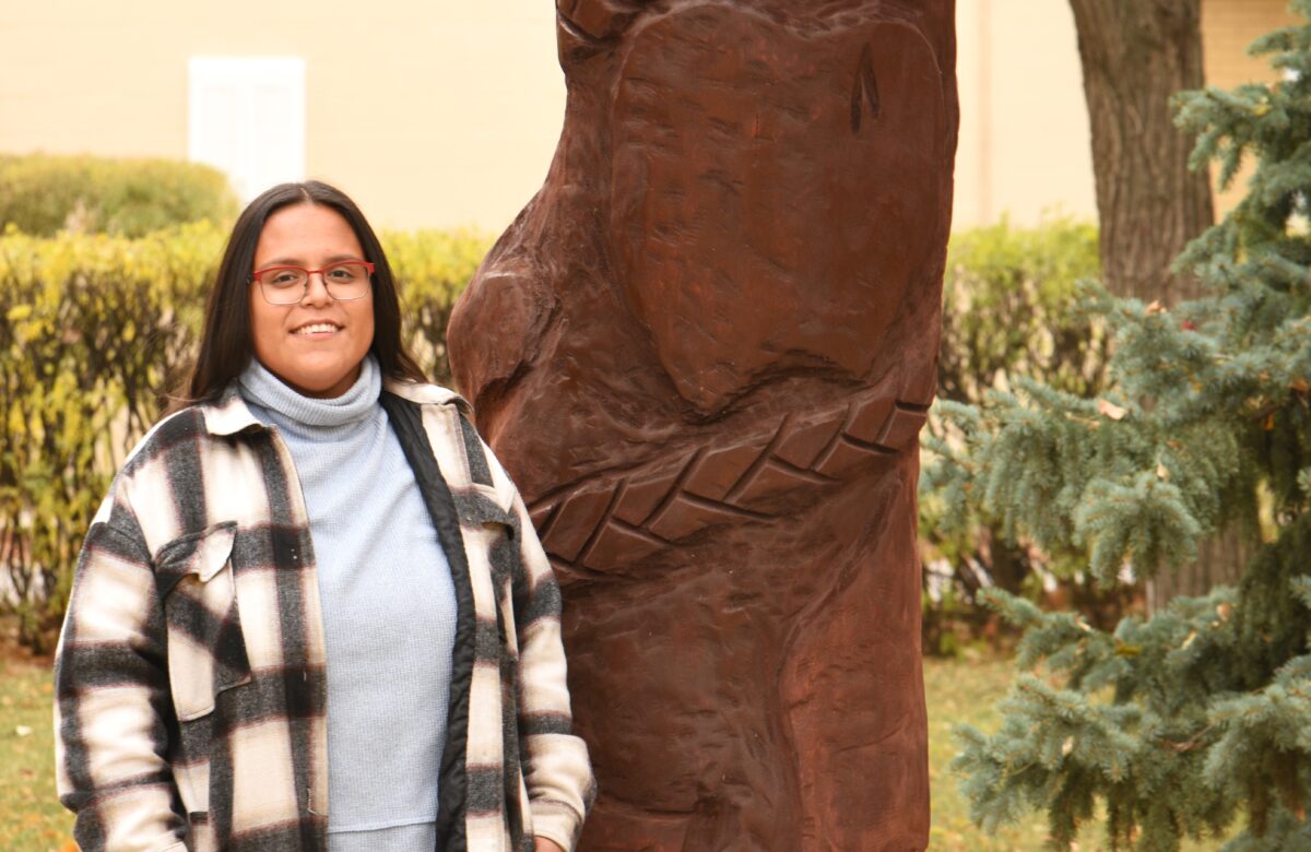 Crescent Park Foundation announces completion of 2024 Tree Art Project