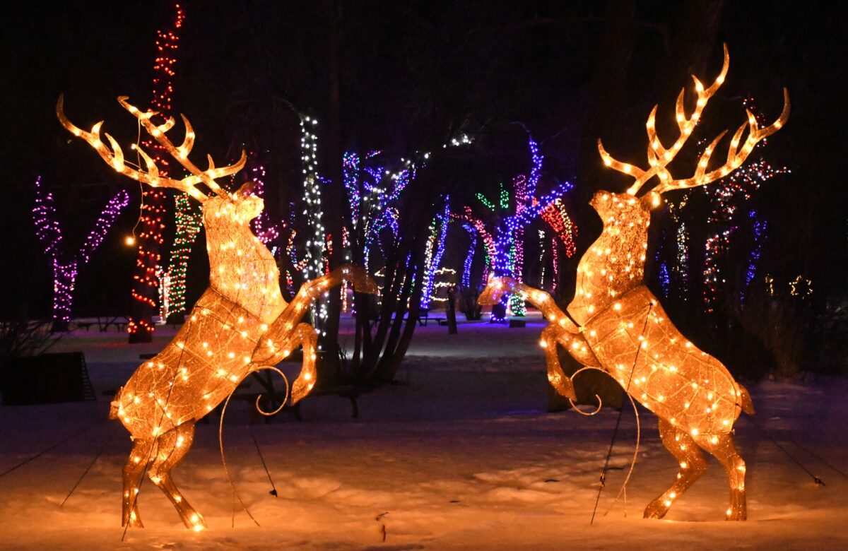 Wakamow’s ‘Valley of Lights’ another glowing success in 2024