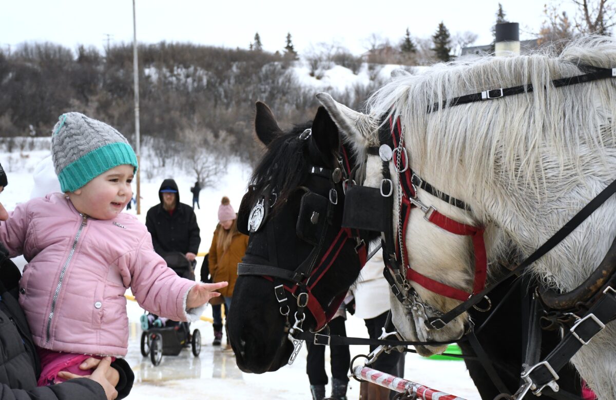 Winterfest 2025 draws families to Moose Jaw’s Wakamow Valley