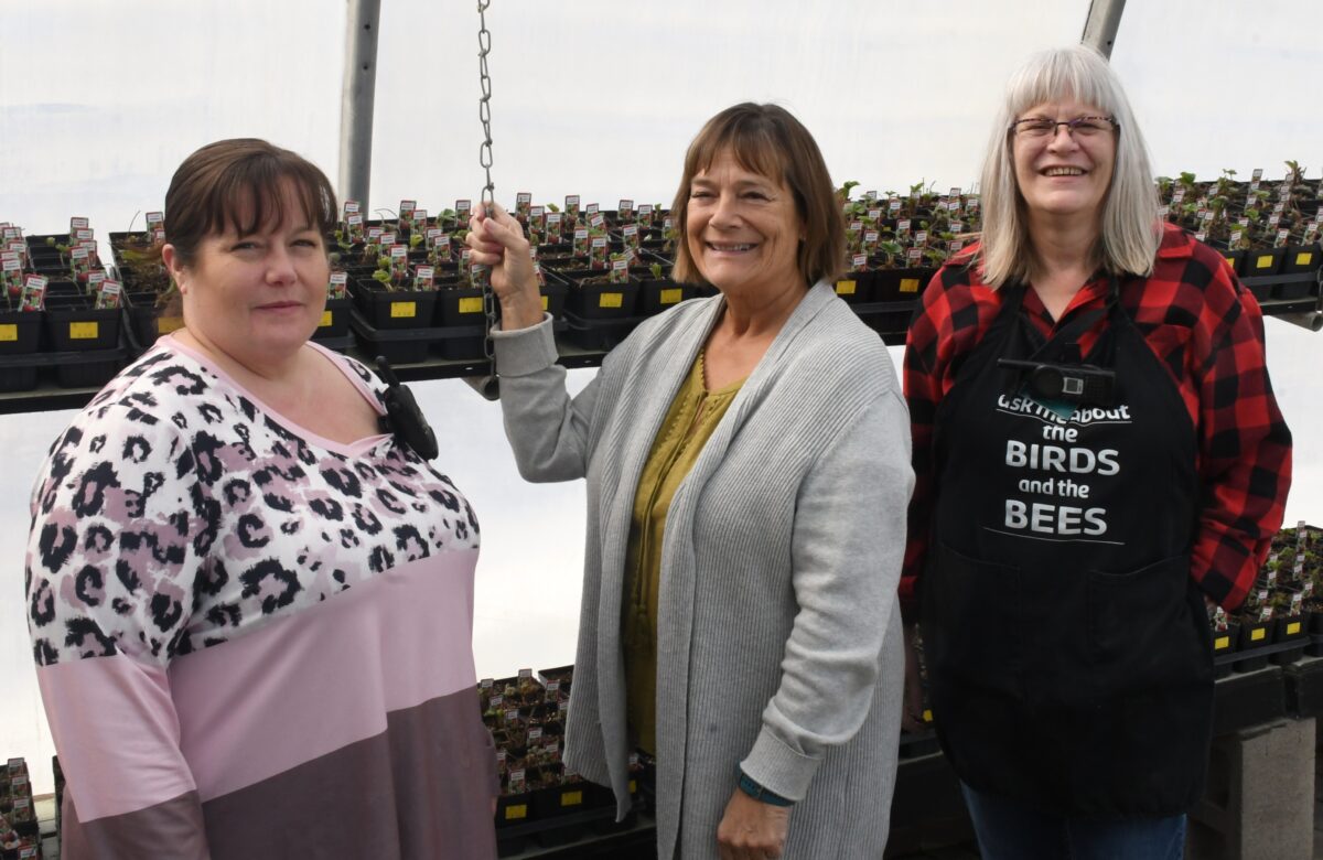 Keon Garden Centre reopens with hardy perennials, seeds, and expert advice