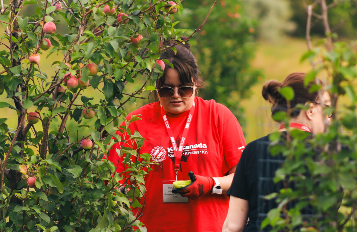 Mosaic Community Food Farm Continues to Nourish Moose Jaw