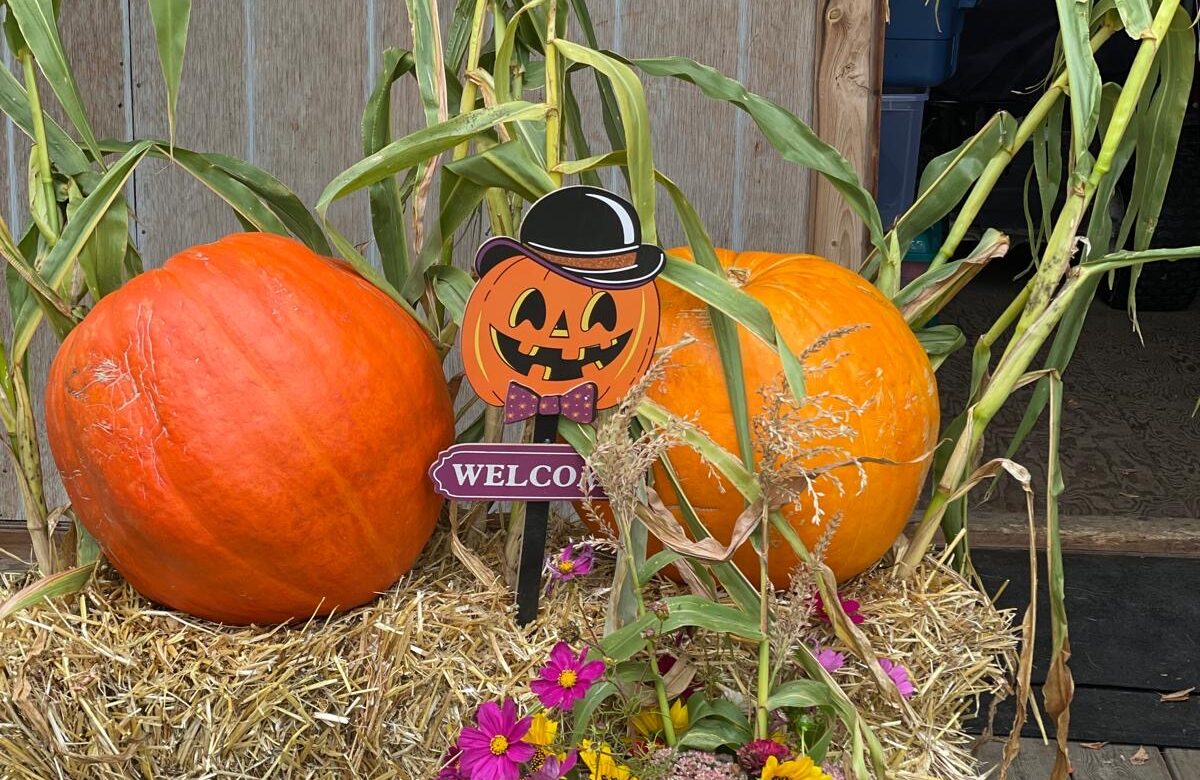 Annual Pumpkin Festival brings friends, fun and fabulous pumpkins together to celebrate this year’s harvest